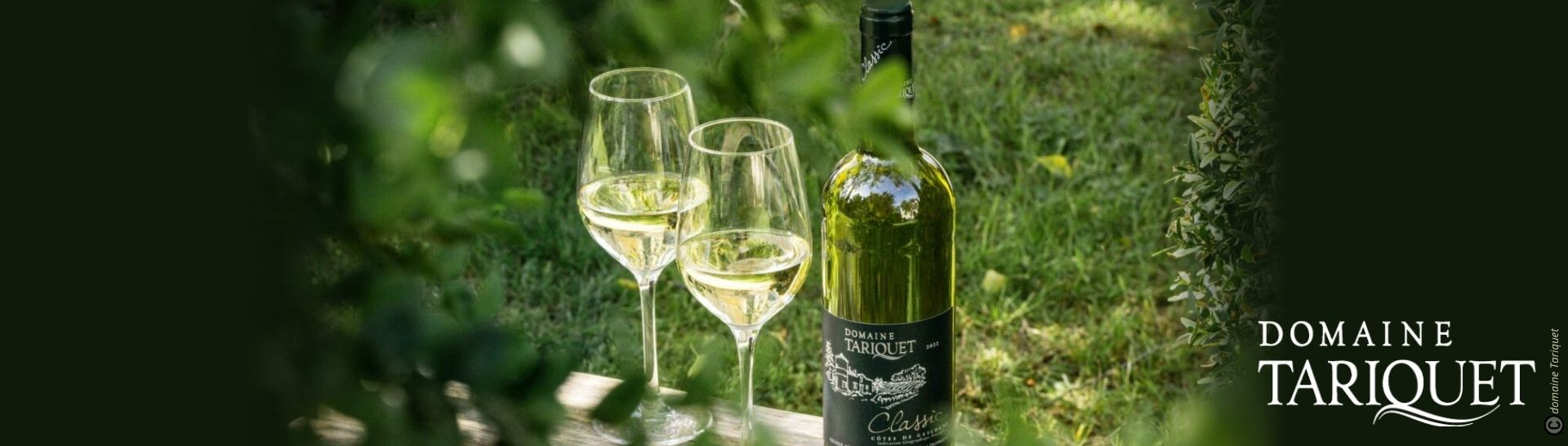 Le Domaine Tariquet